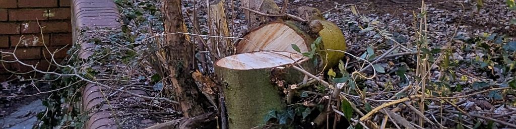 Grünschnitt am Dellplatz